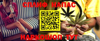 гидропоника Гагарин