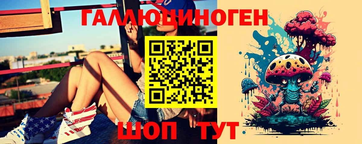 Псилоцибиновые грибы Psilocybe  где купить наркоту  Михайловка  Галлюциногенные грибы мицелий  Вход с VPN 
