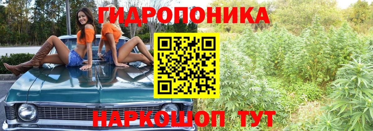 Бошки Шишки семена  Каннабис White Widow  Вход с VPN  Бошки Шишки гибрид  Михайловка 